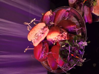 Association de Location de Salles du Québec